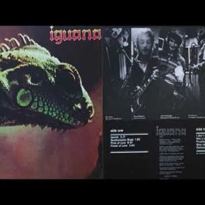 PUB+ROCK+BRASS+JAZZ+PROG+FUSION+GROOVE+SOUL: Iguana - Iguana (UK 1972) Full Album