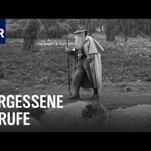 DOKU+BERUFE+GESTERN+HEUTE: Die letzten ihrer Art - Berufe von damals | Unsere Geschichte (NDR 2021)