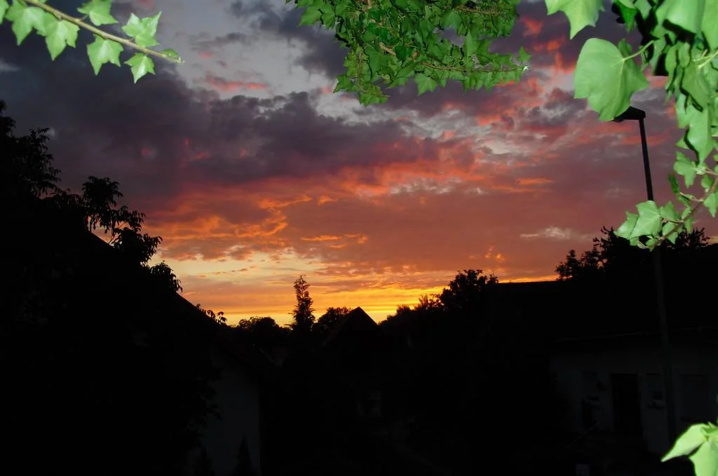 Abendlicher Blick aus meinem Fenster