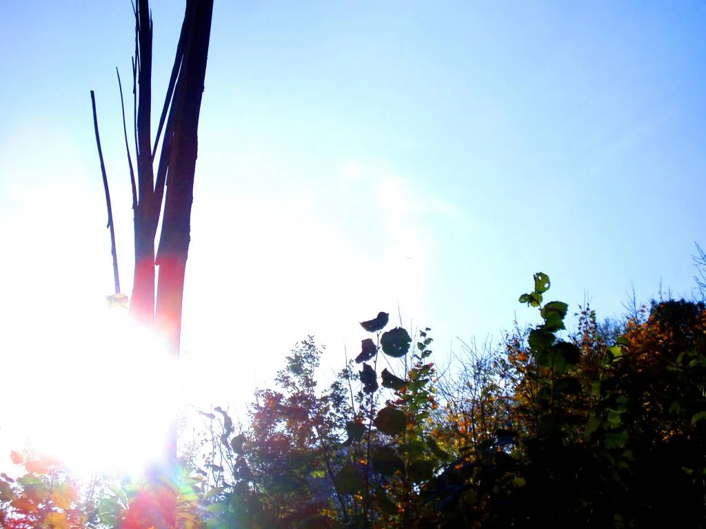 begegnung am wegrand