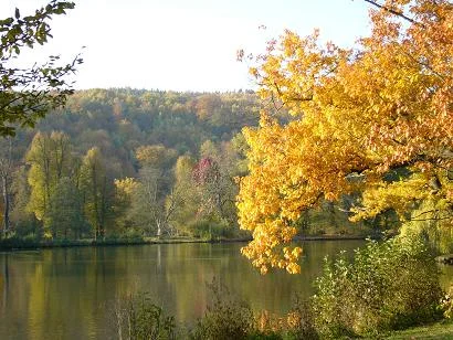 Bunt sind schon die Wlder