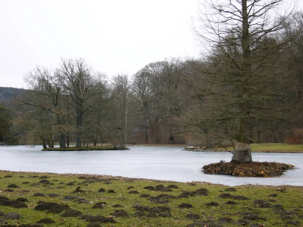 Eisige Stille am See I.