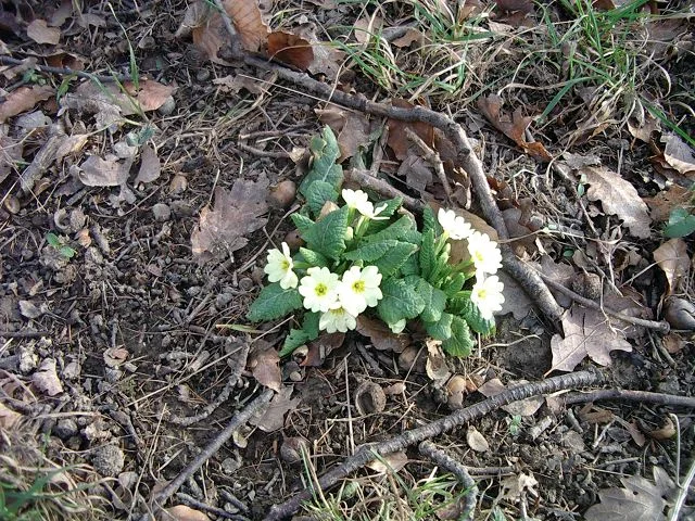 jedes Jahr - wunderbar