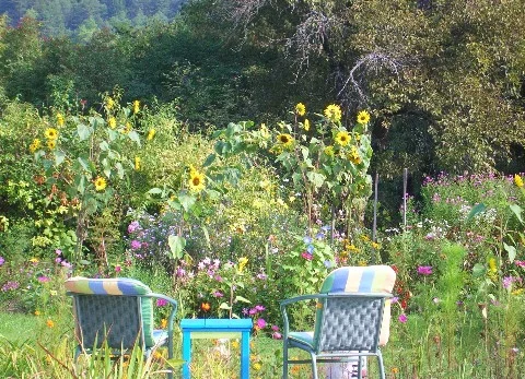 schauen auf den sommer