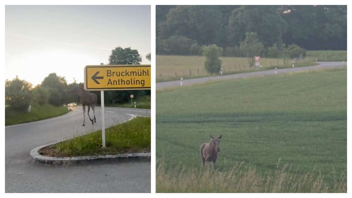 www.bgland24.de