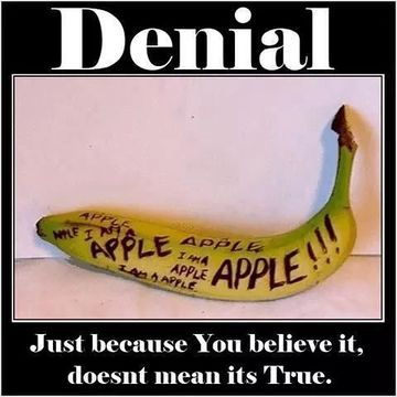 360px-Denial.jpg