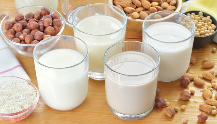 albert-schweitzer-stiftung.de