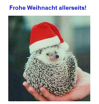 (xmas)-igelchen.jpg