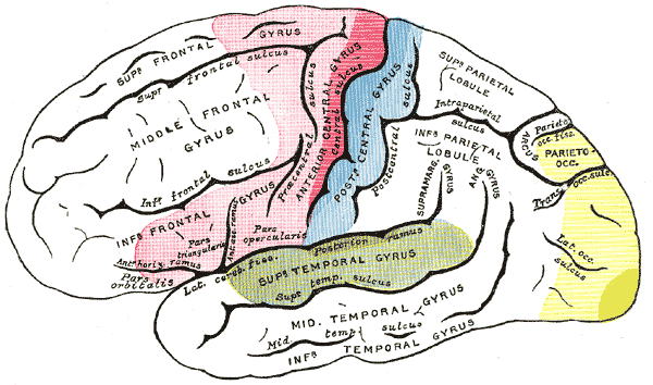 de.wikipedia.org