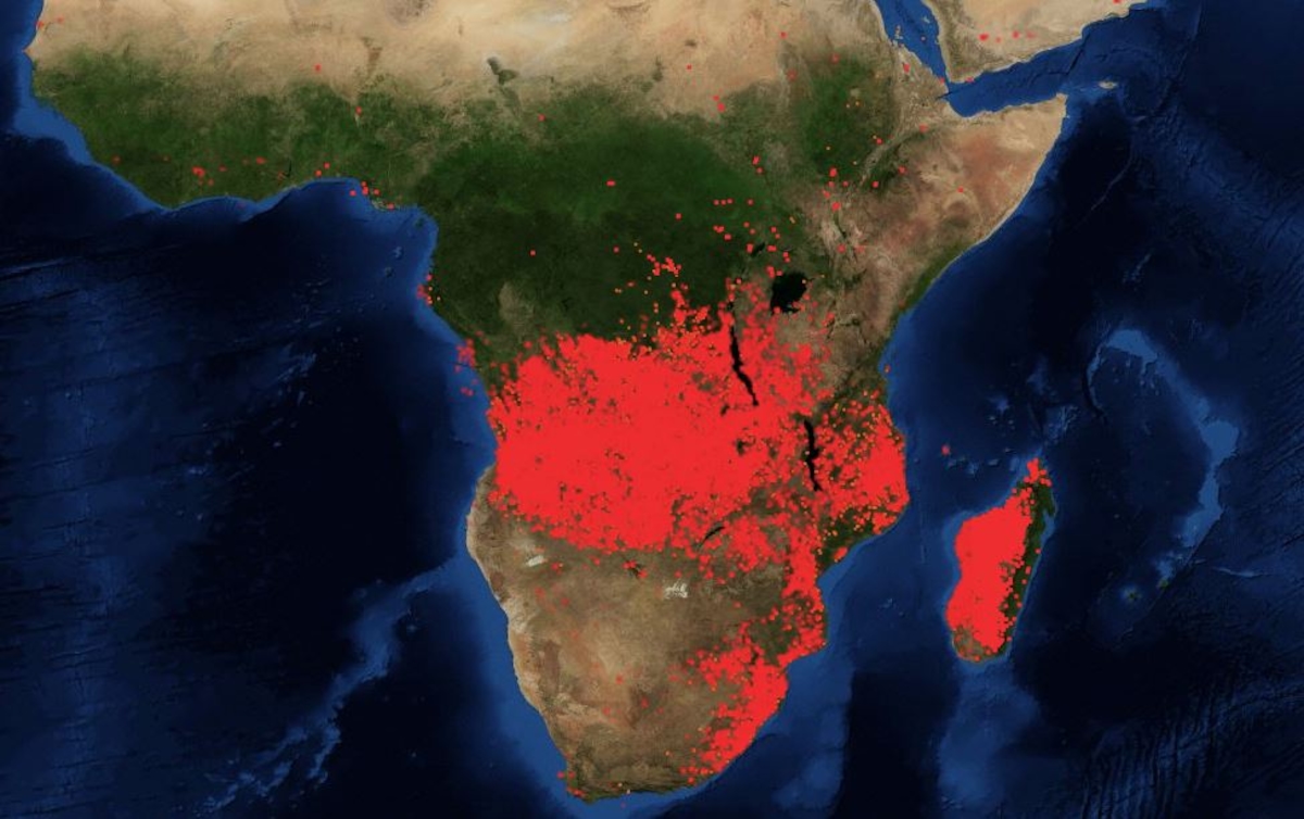 feuer-afrika.jpg