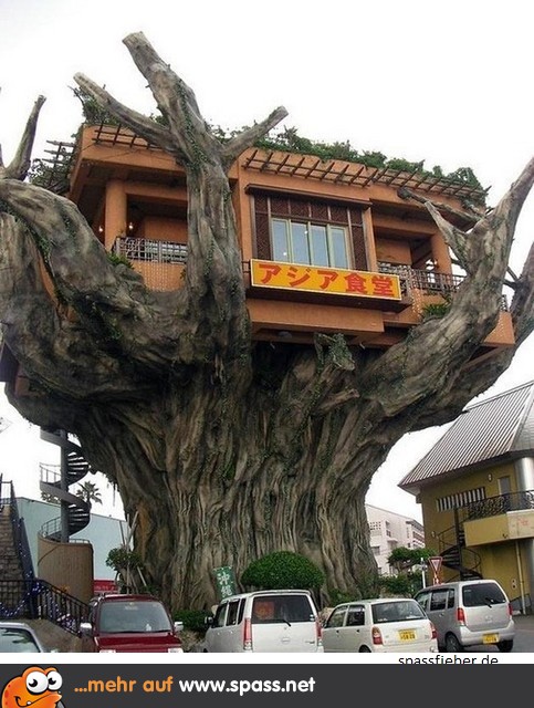 haus-auf-baum-in-china-483x600.jpg