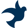 www.propeace.de