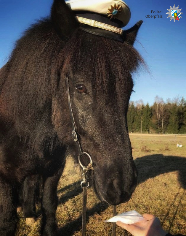 D3DBND_XgAAN-6J.png:large