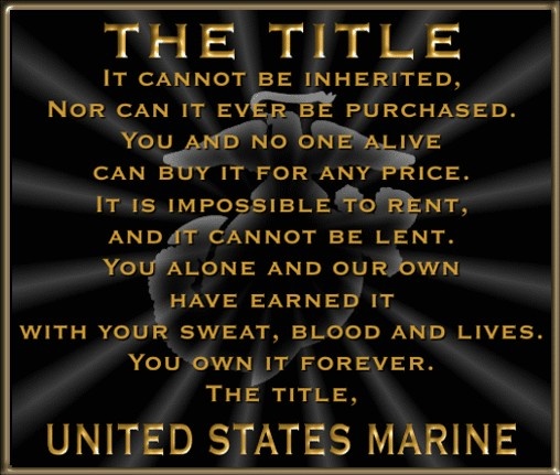 51cdec1fa5e32ffc33bd861b7bc6e9f9--my-marine-us-marine-corps.jpg
