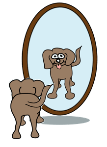 hund-spiegel.png