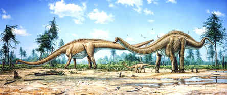 diplodocus_family.jpg