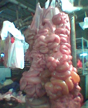 Sus_domesticus_-_Intestines.jpg