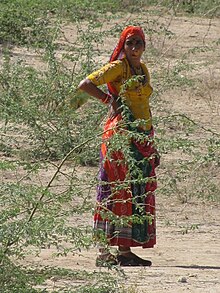 220px-Bishnoi_Woman.JPG