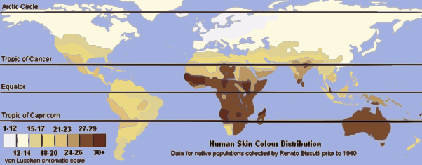 602px-Unlabeled_Renatto_Luschan_Skin_color_map.svg.png